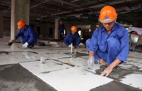 Những "bàn tay vàng" HANDICO